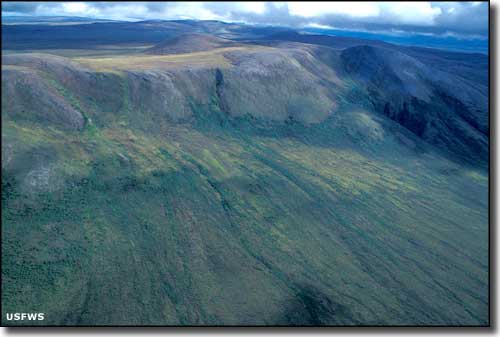 Noatak Preserve