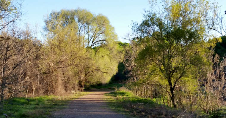 Escape To The Verde: A Greenway Oasis In Arizona’s Heart