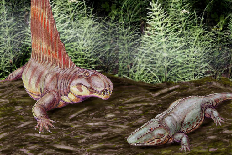 permian dinosaurs