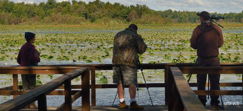 Bird watching at Snakey Point Marsh