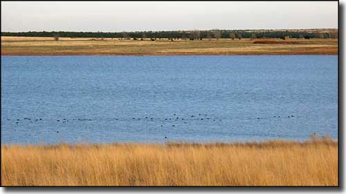 las-vegas-national-wildlife-refuge-new-mexico-national-wildlife-refuges