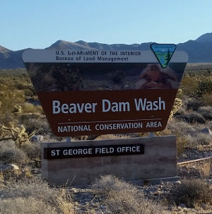 Beaver Dam Wash National Conservation Area | The Sights and Sites of