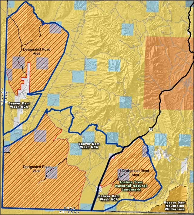 Beaver Dam Wash National Conservation Area | BLM Sites