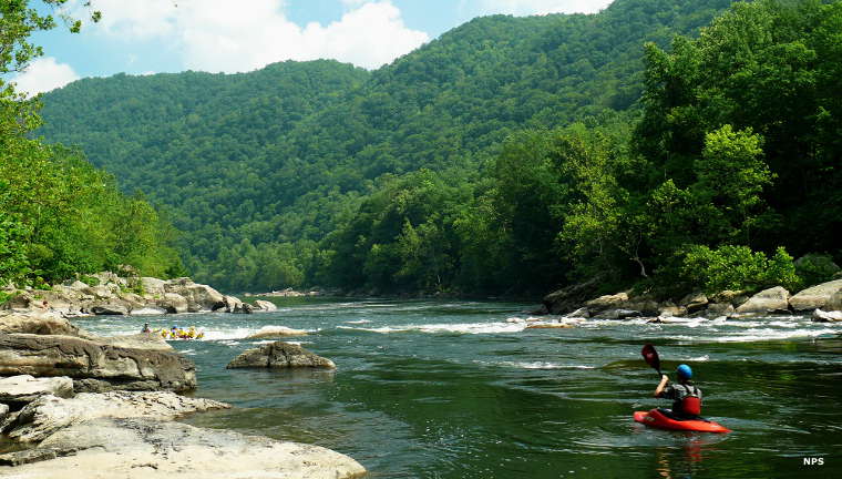 Kayakers on the river
