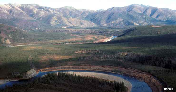 Yukon Flats National Wildlife Refuge | National Wildlife Refuges