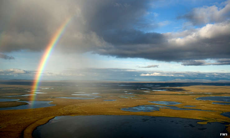 Selawik National Wildlife Refuge | Alaska National Wildlife Refuges