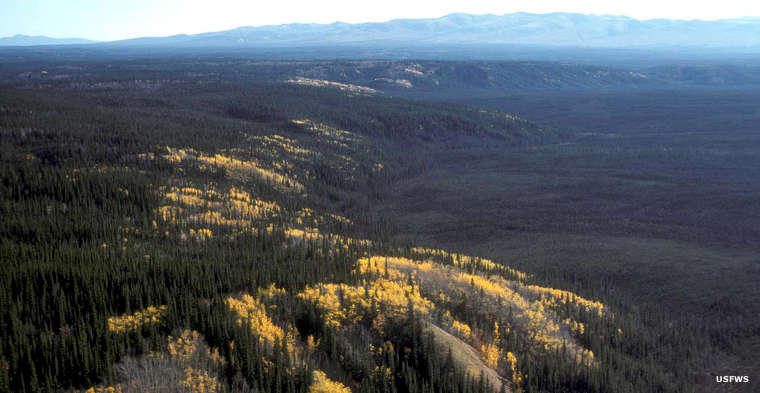 Yukon Flats National Wildlife Refuge | Alaska National Wildlife Refuges