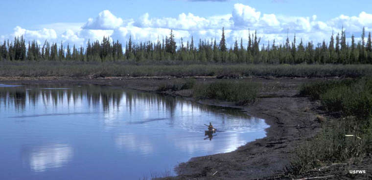 Yukon Flats National Wildlife Refuge | Alaska National Wildlife Refuges