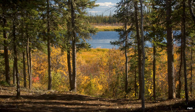 Yukon Flats National Wildlife Refuge | Alaska National Wildlife Refuges