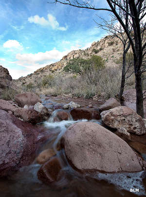 Baker Canyon Wilderness Study Area | BLM Sites in Arizona