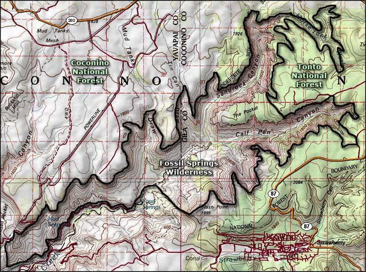 Fossil Springs Wilderness | National Wilderness Areas