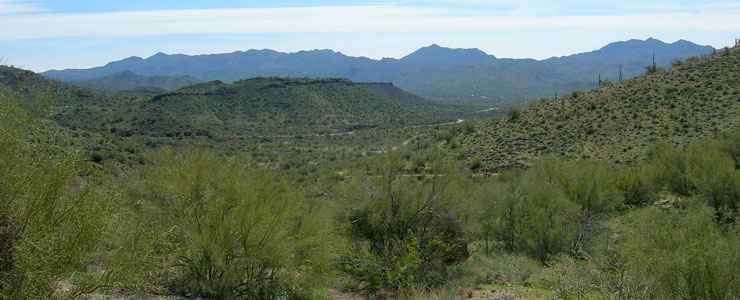 Prescott National Forest | National Forests