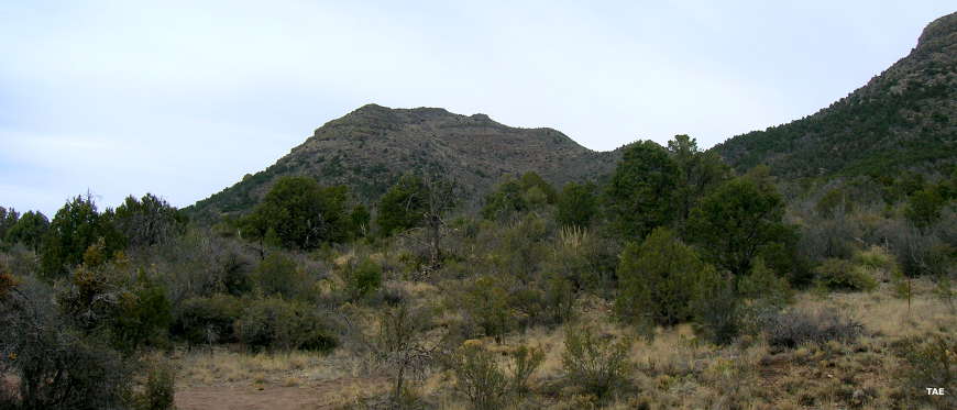 Prescott National Forest 