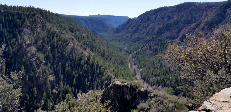 Sedona Oak Creek Canyon Scenic Road 3777