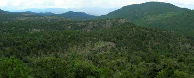 Blue Range Primitive Area | National Wilderness Areas in Arizona