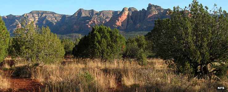 Sycamore Canyon Wilderness