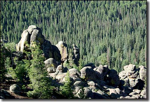 Mount Baldy Wilderness | National Wilderness Areas