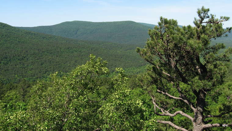 Poteau Mountain Wilderness