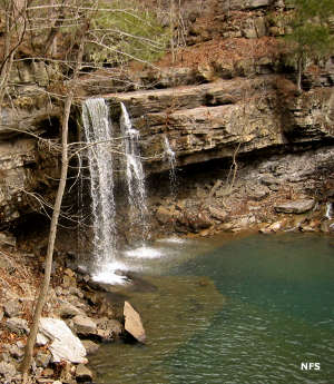 Richland Creek Wilderness | Arkansas National Wilderness Areas