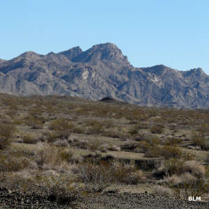 Chemehuevi Mountains Wilderness | National Wilderness Areas