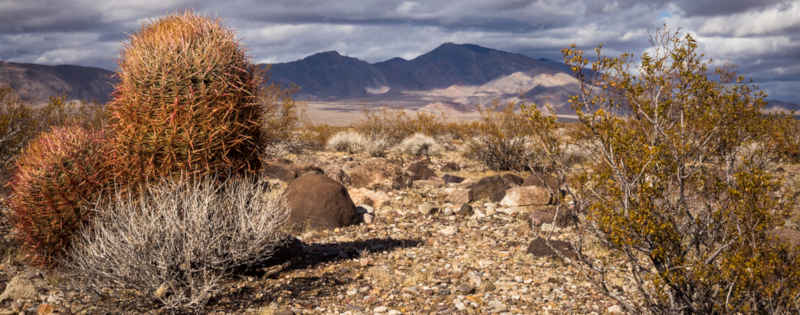 Pahrump Valley Wilderness