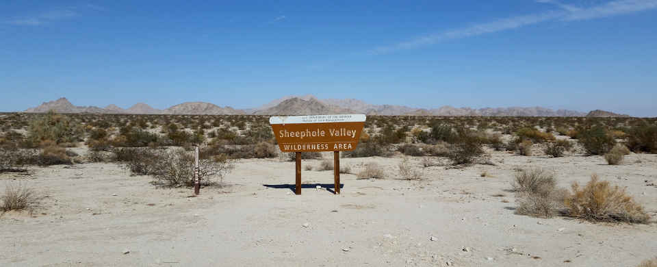 Sheephole Valley Wilderness | The Sights and Sites of America