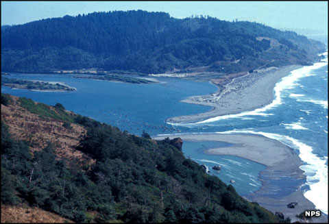 Redwood National Park