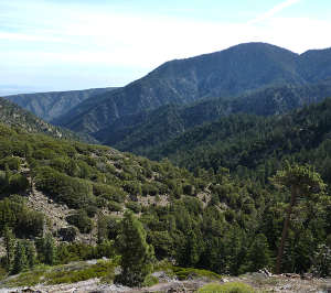 Pleasant View Ridge Wilderness