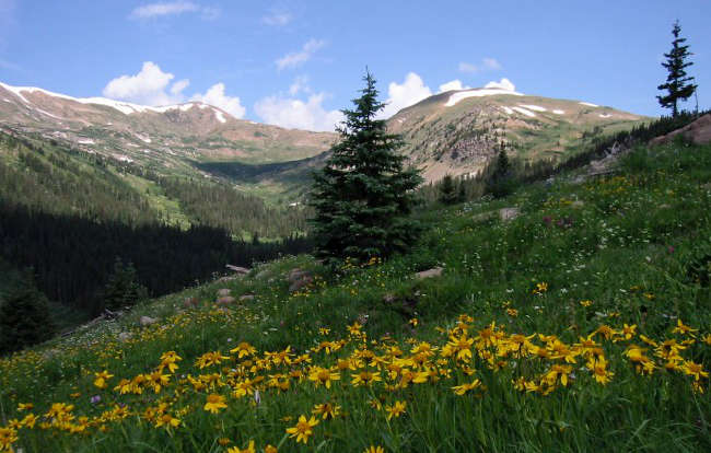 Vasquez Peak Wilderness