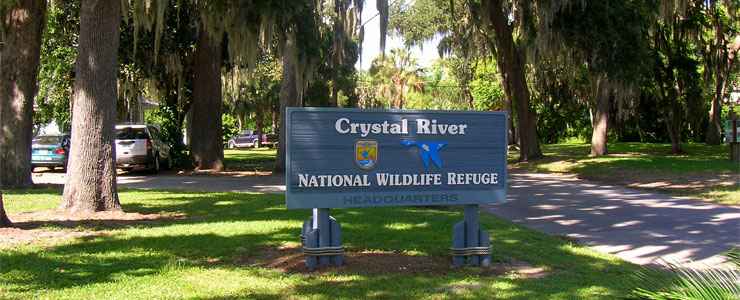 Crystal River National Wildlife Refuge, Crystal River