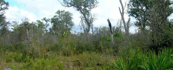 Lake Wales Ridge National Wildlife Refuge