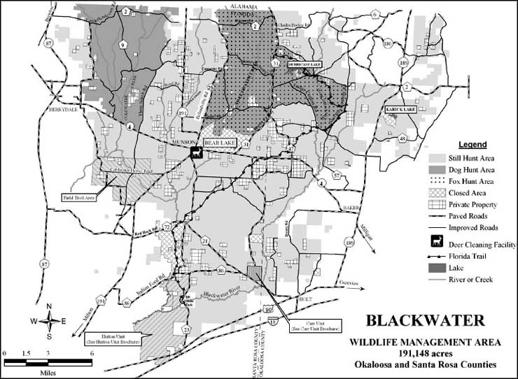 Blackwater Wildlife Management Area