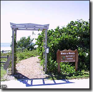 Bahia Honda State Park Florida State Parks