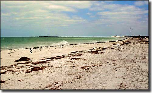 Caladesi Island State Park