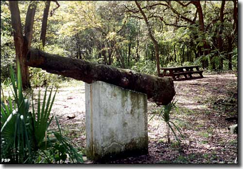 Time Travel to the Past: Exploring Yellow Bluff Fort Historic State Park