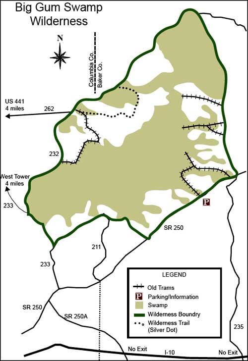 Big Gum Swamp Wilderness | National Wilderness Areas