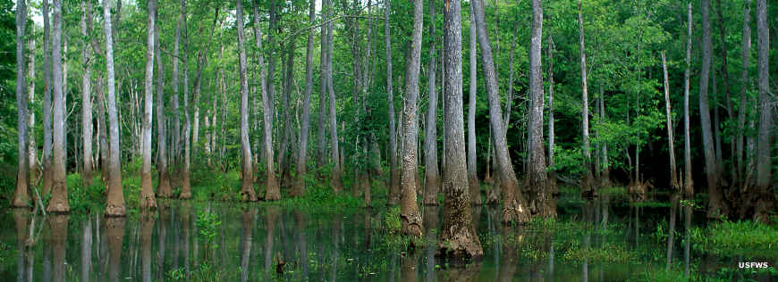 National Wildlife Refuges in Georgia