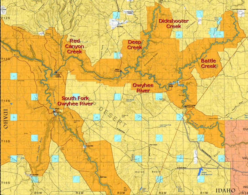 Owyhee River Map