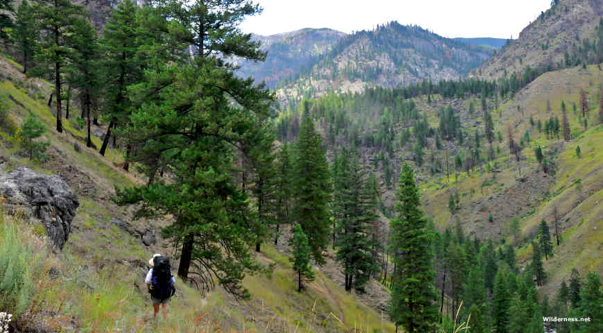 Gospel hump shop loop trail