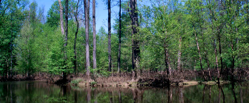 National Wildlife Refuges In Indiana