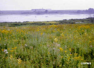 Union Slough National Wildlife Refuge | National Wildlife ...