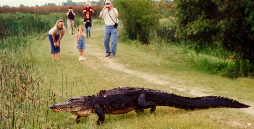 Scenic and Historic Byways in Louisiana | Lousiana Scenic Byways