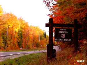 Hiawatha National Forest