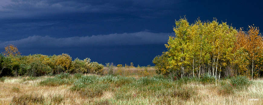 National Wildlife Refuges in Minnesota | National Wildlife Refuges