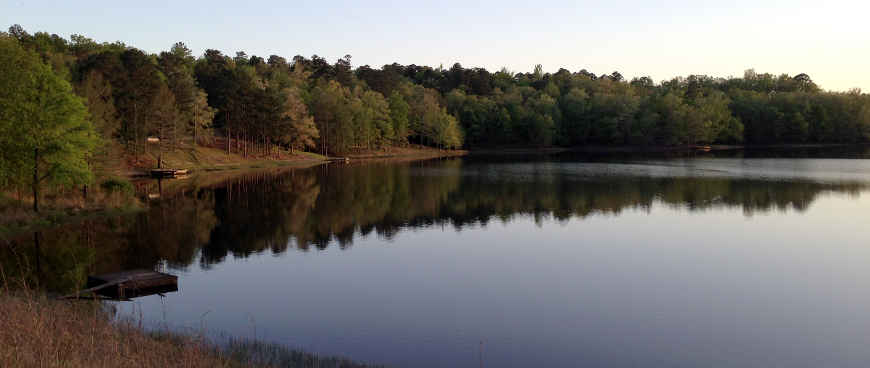 Holly Springs National Forest