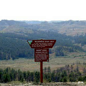 Burnt Lodge Wilderness Study Area