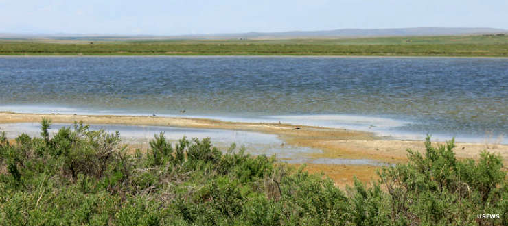 Grass Lake National Wildlife Refuge