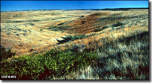 UL Bend National Wildlife Refuge