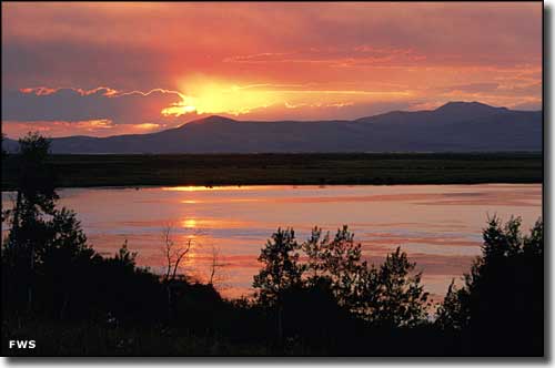 Red Rock Lakes National Wildlife Refuge