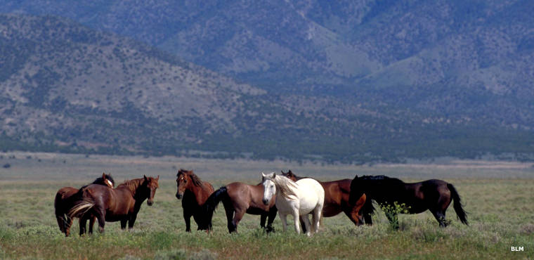 Pony Express National Historic Trail